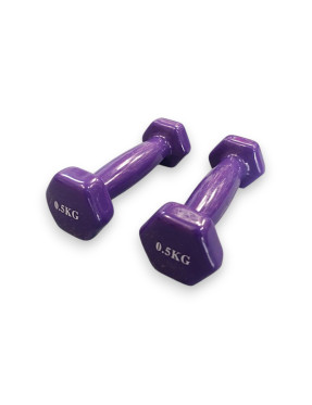 Гантели 0.5 кг Bavar Sport